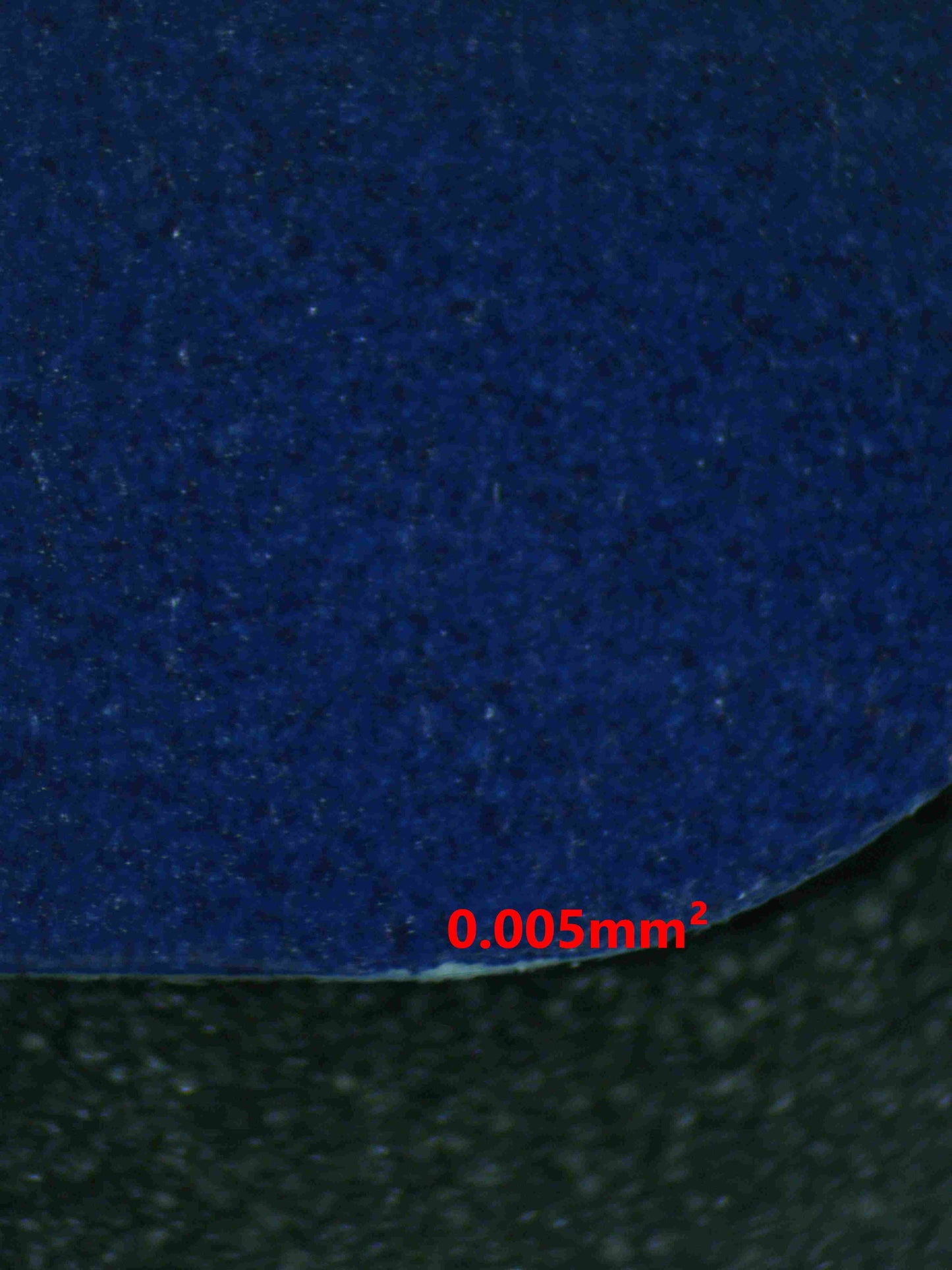 07221 GENGAR EX Grading Card