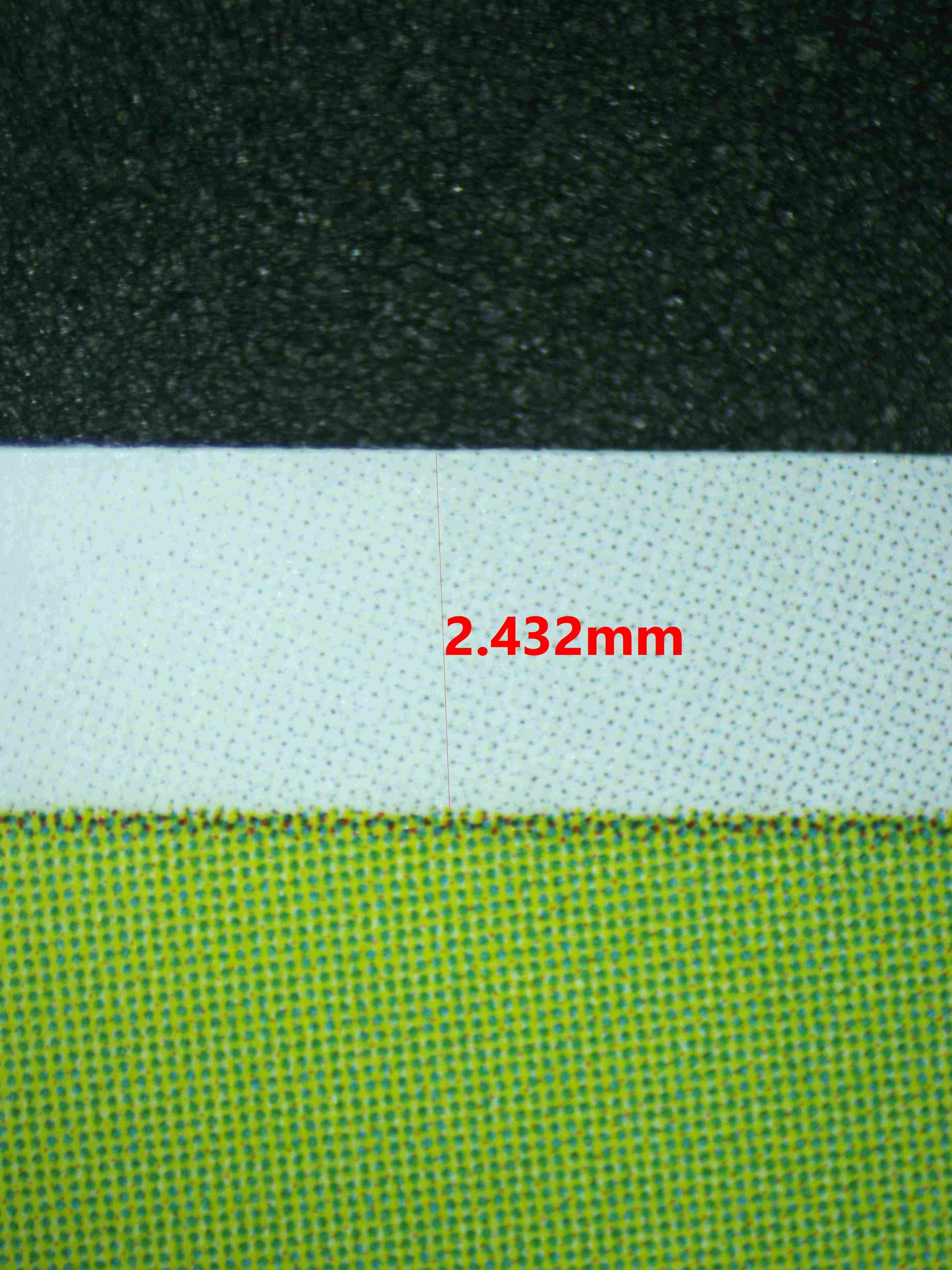 07222 BULBASAUR (JAPANESE) Grading Card