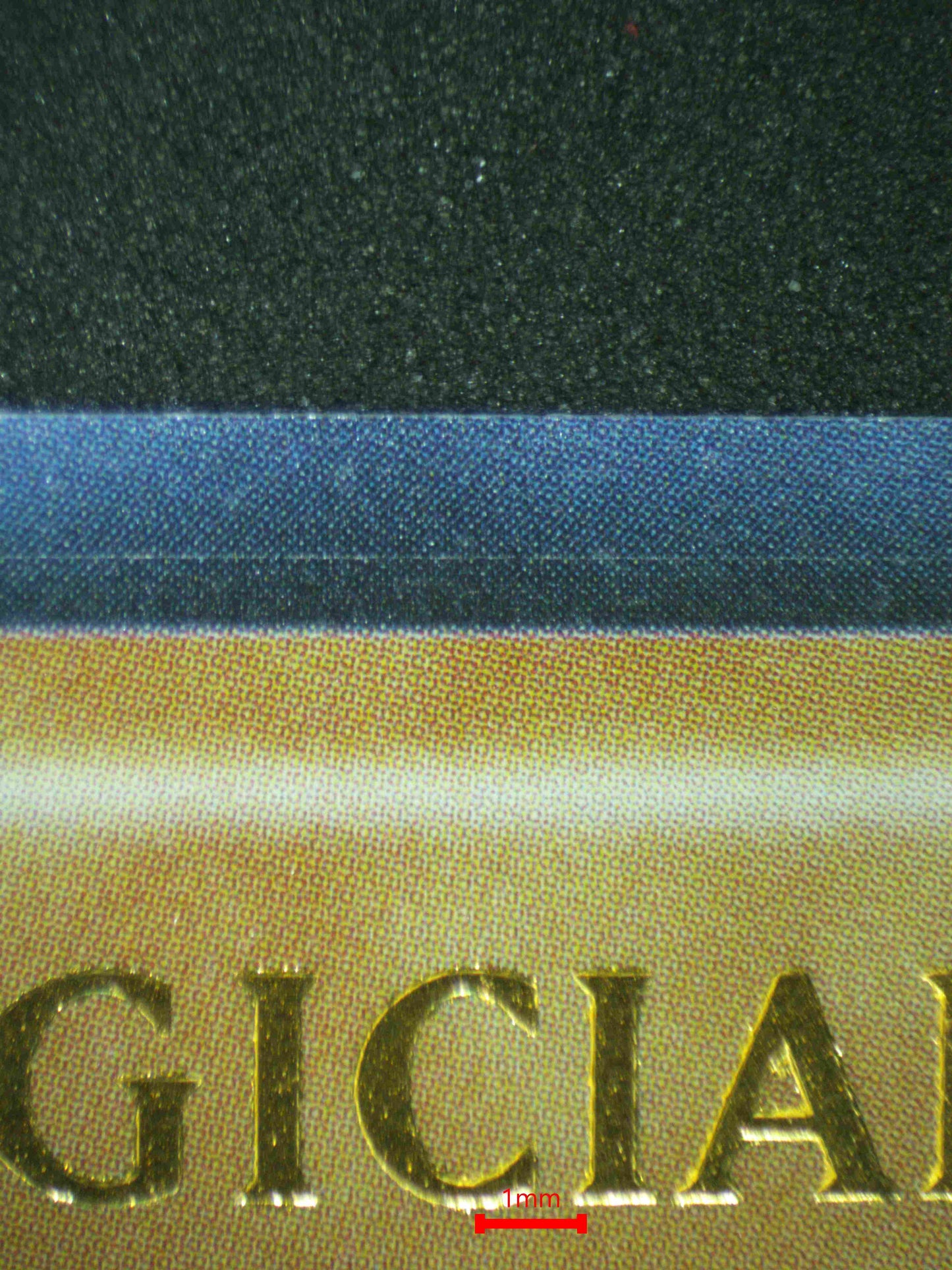 07233 DARK MAGICIAN Grading Card