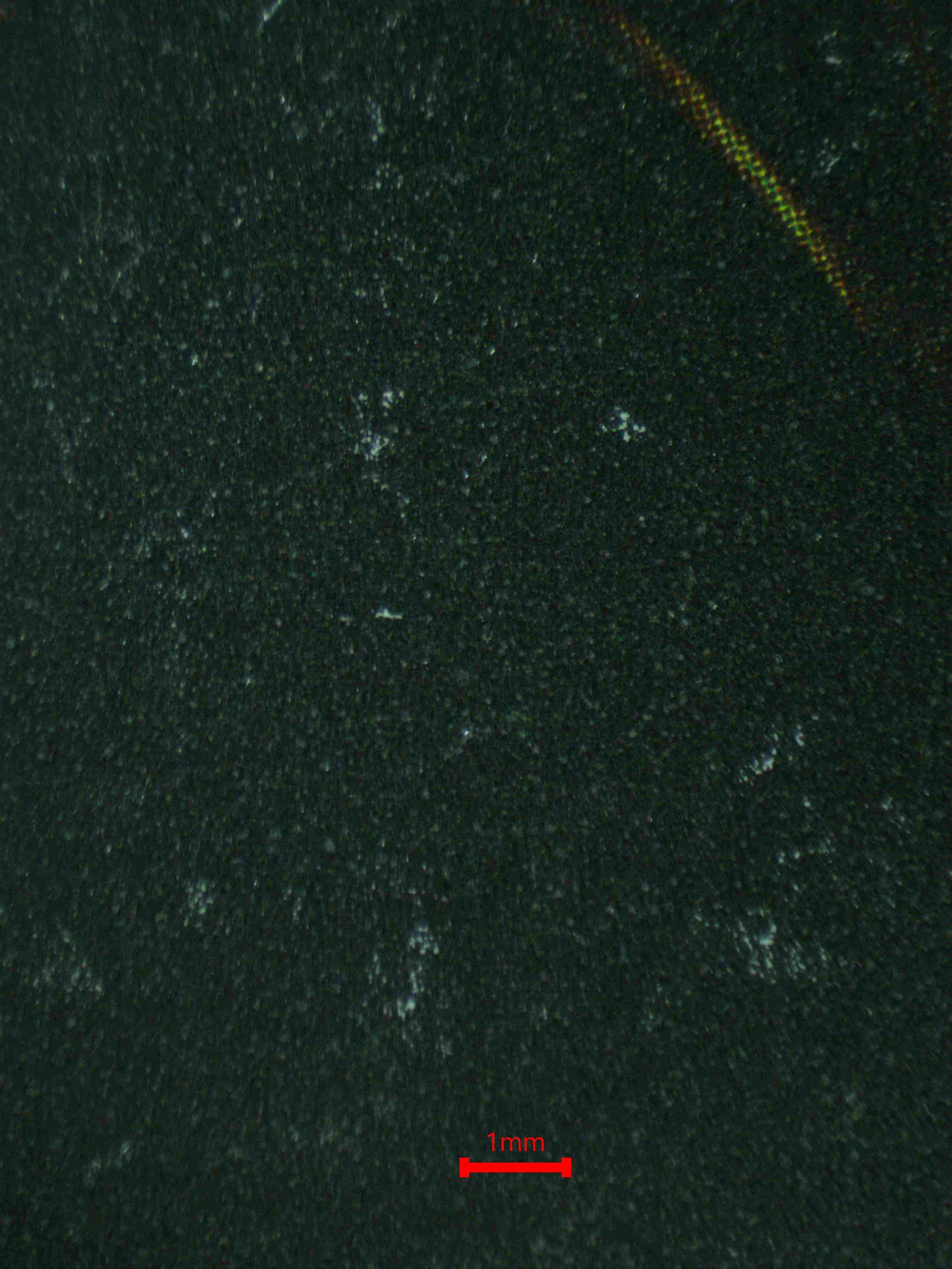 07235 SUMMONED SKULL Grading Card