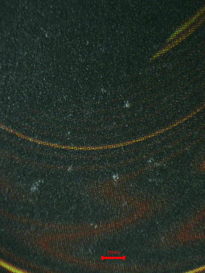 07236 DARK MAGICIAN Grading Card