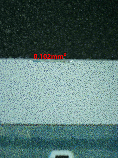 07243 CHARMANDER Grading Card