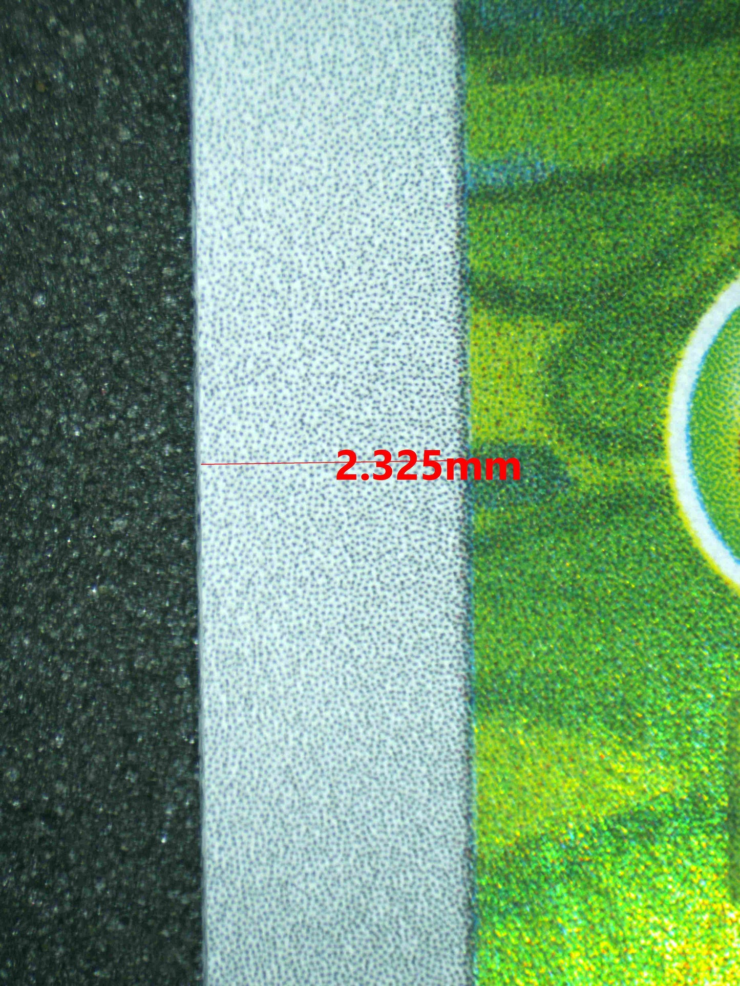 07244 BULBASAUR Grading Card