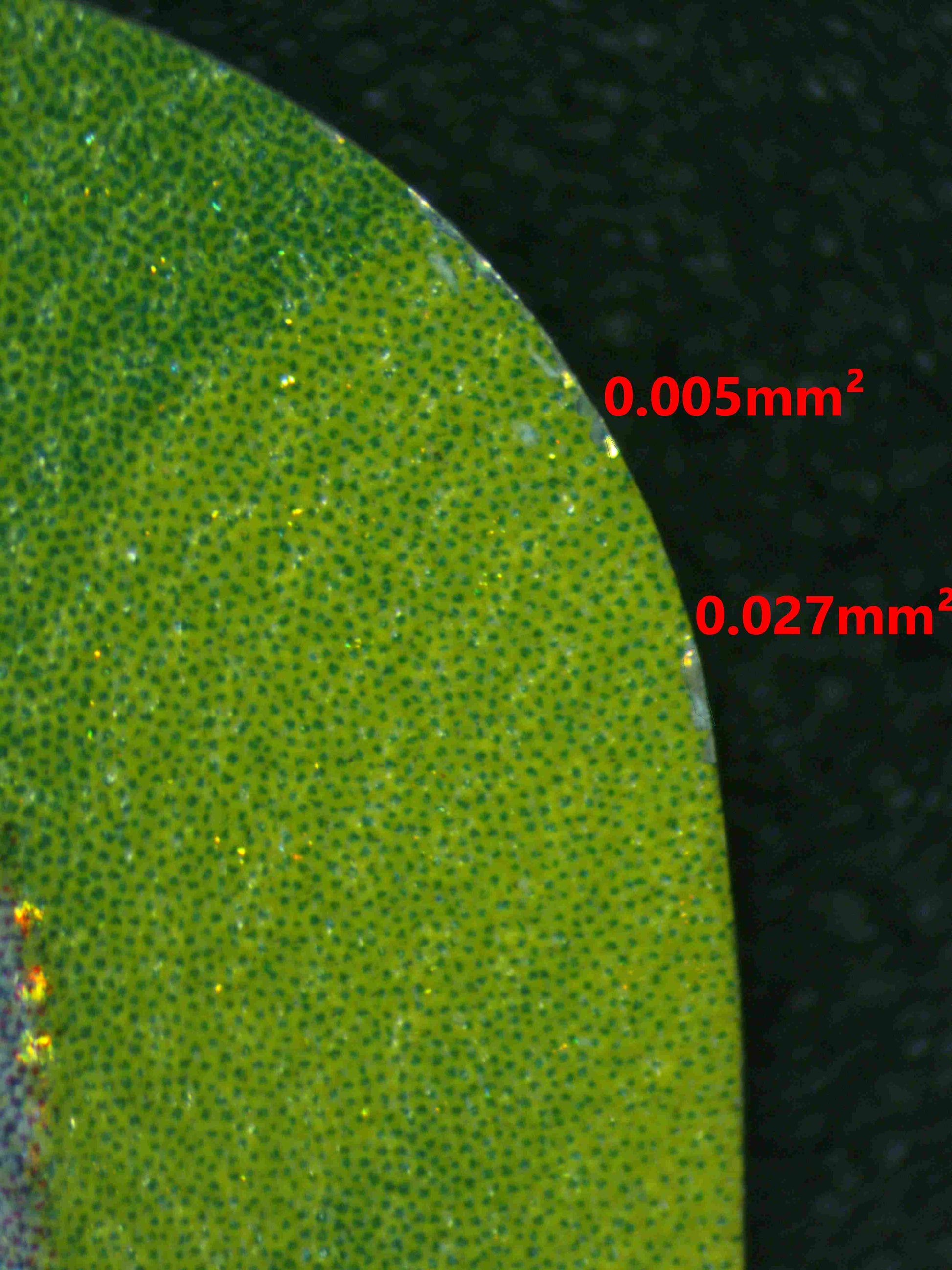 07260 SYLVEON EX Grading Card