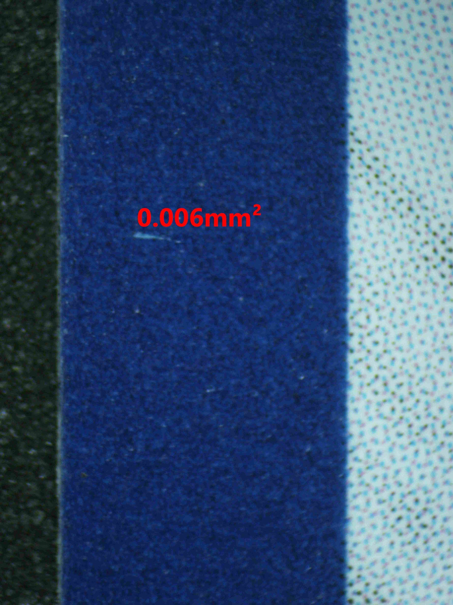 07262 BIANCA'S DEVOTION Grading Card