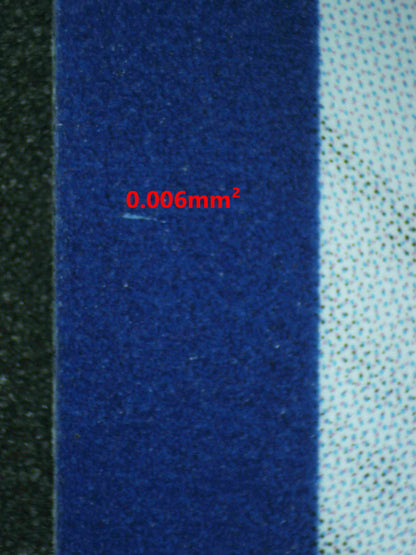 07262 BIANCA'S DEVOTION Grading Card