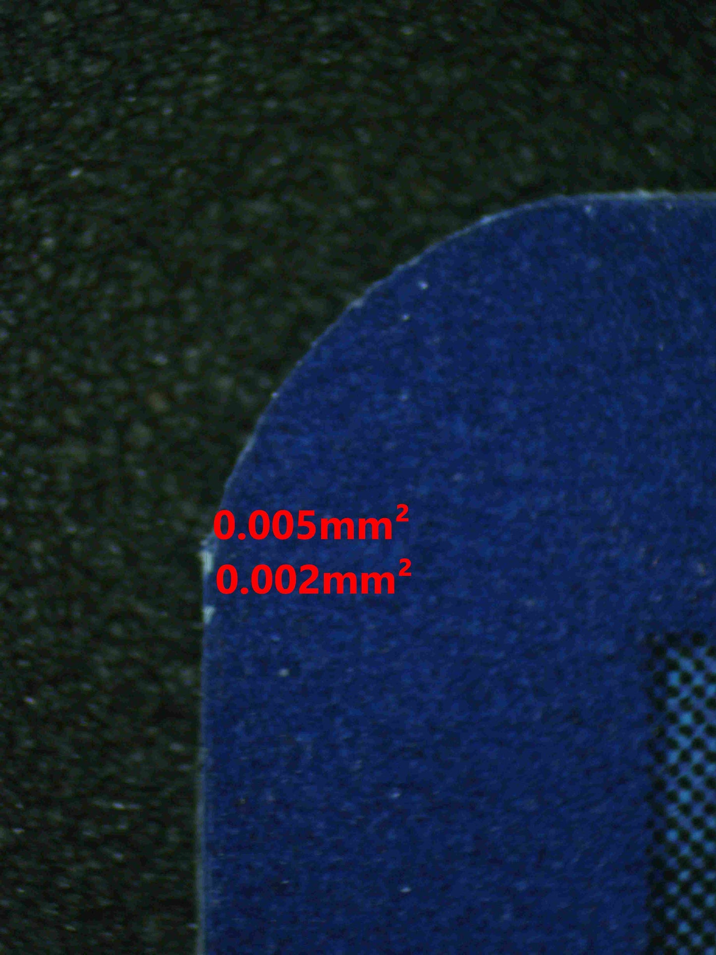 07262 BIANCA'S DEVOTION Grading Card