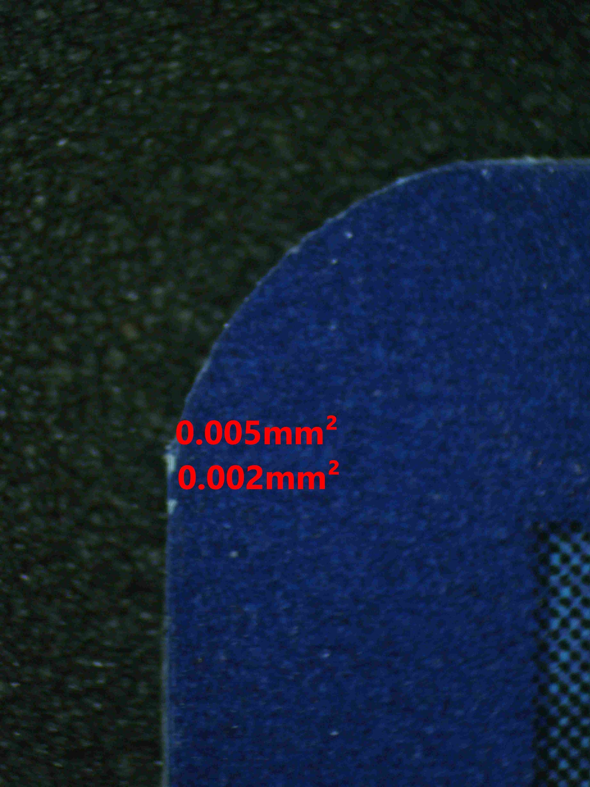 07262 BIANCA'S DEVOTION Grading Card