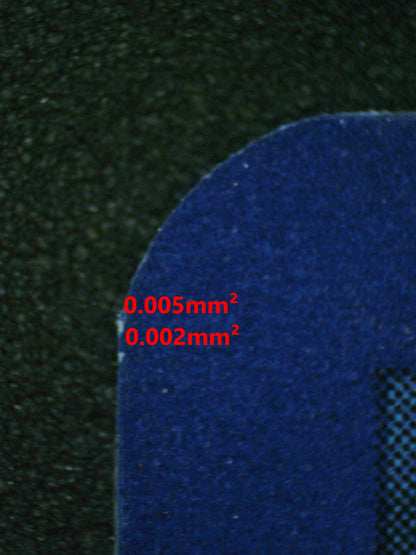 07262 BIANCA'S DEVOTION Grading Card