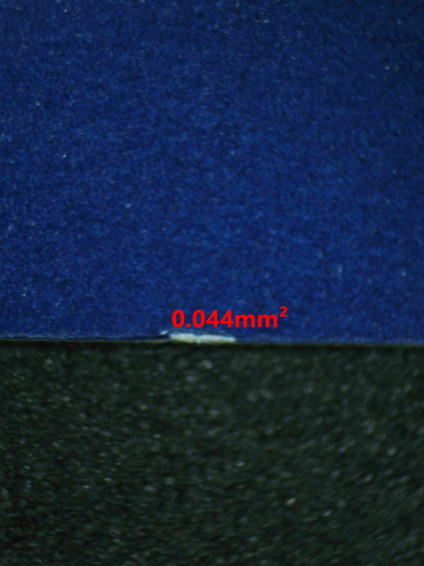 07262 BIANCA'S DEVOTION Grading Card