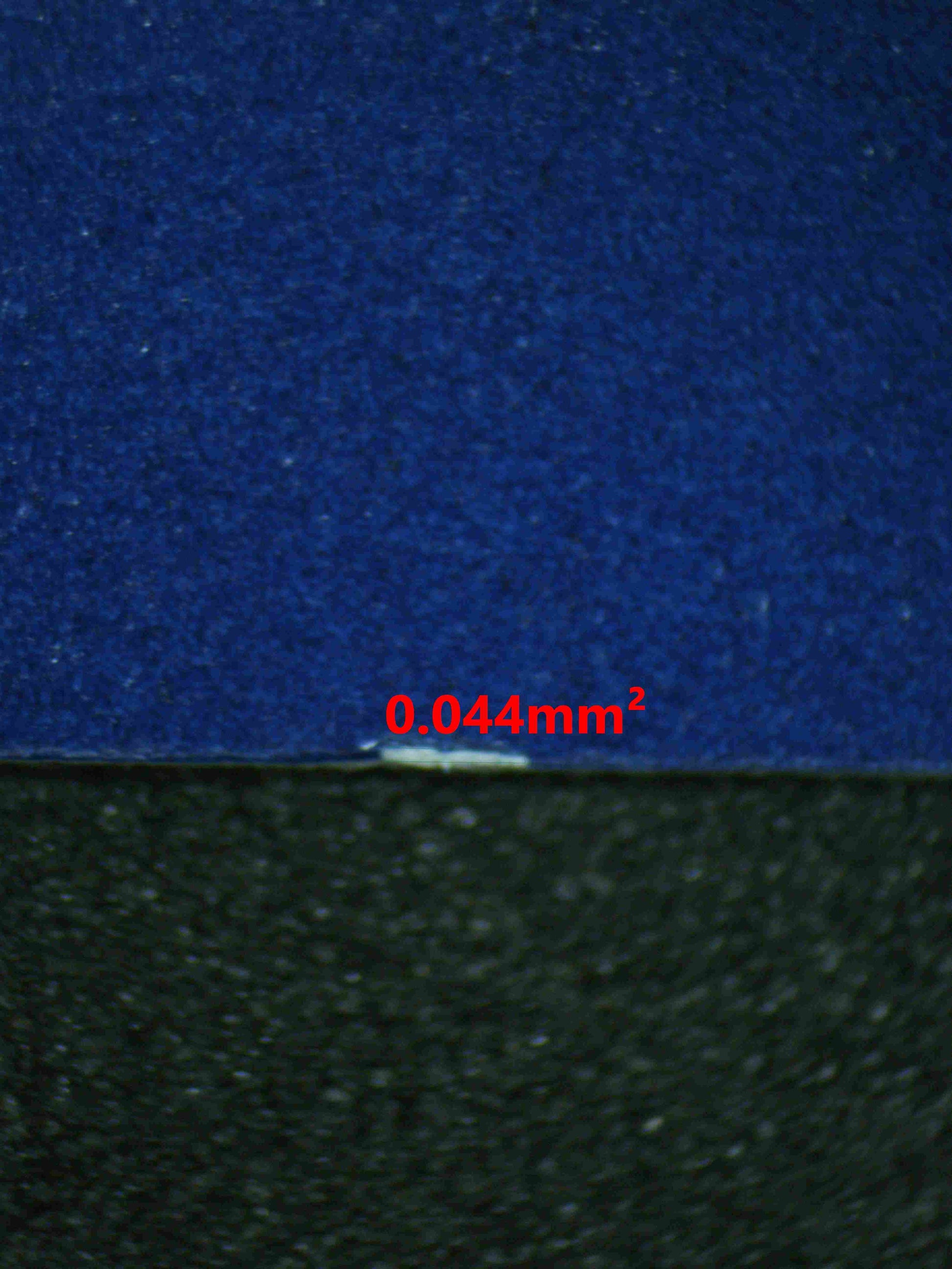 07262 BIANCA'S DEVOTION Grading Card