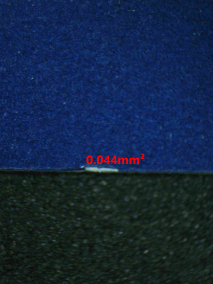 07262 BIANCA'S DEVOTION Grading Card