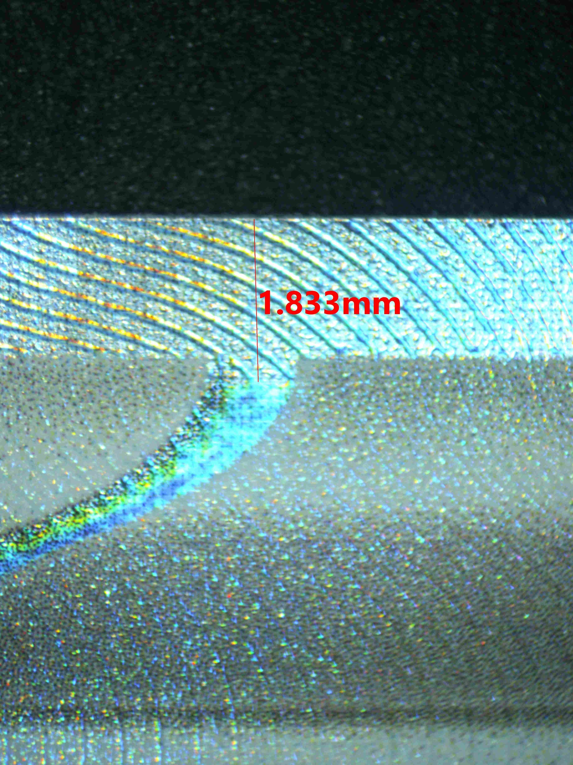 07262 BIANCA'S DEVOTION Grading Card