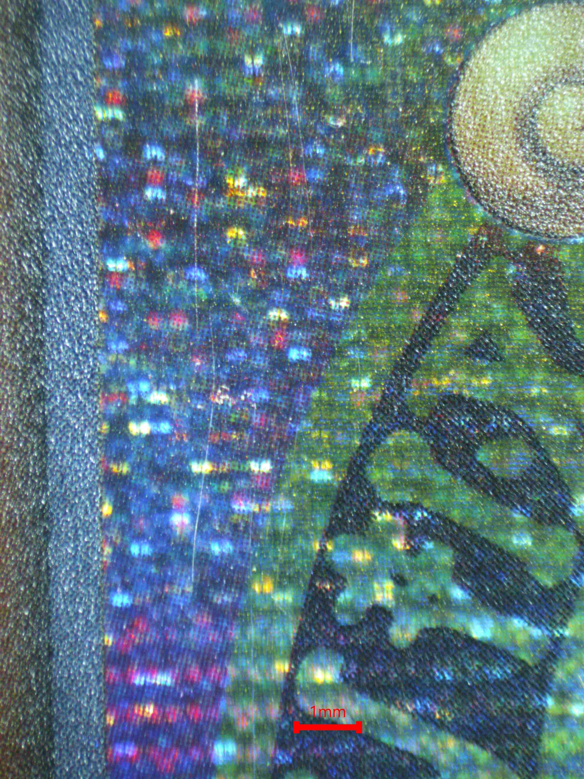 07269 DARK MAGICIAN GIRL Grading Card