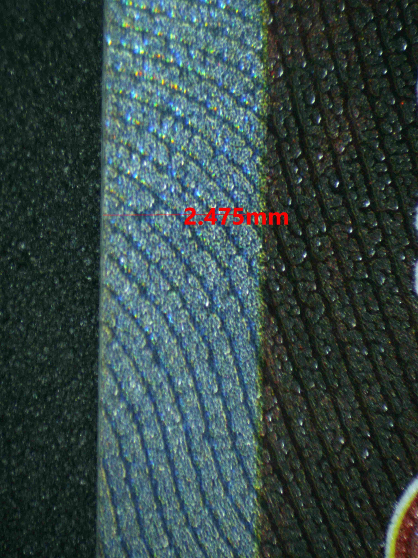 07272 ENTEI V Grading Card