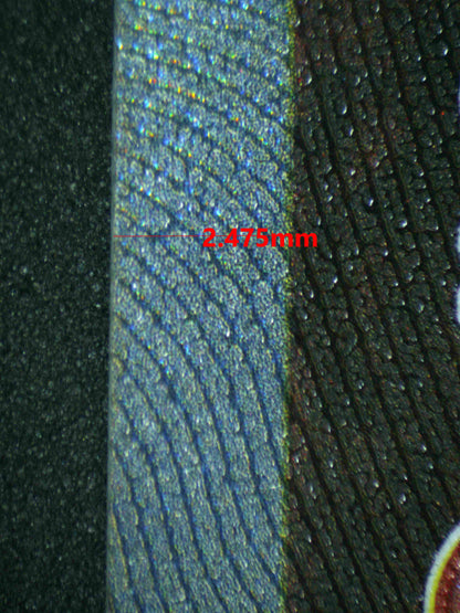 07272 ENTEI V Grading Card