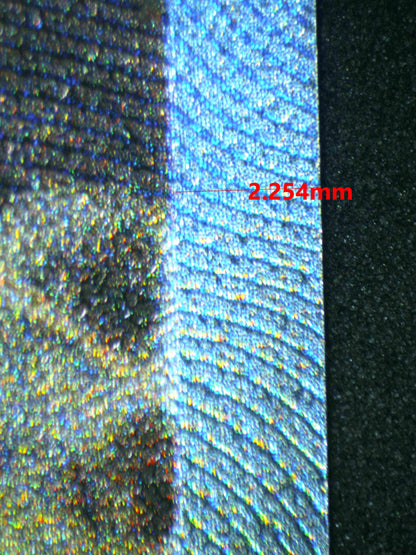 07272 ENTEI V Grading Card