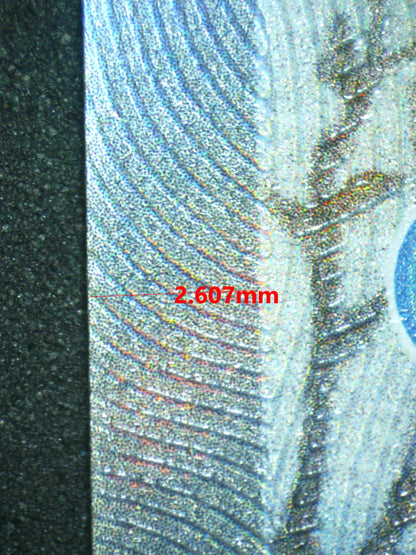 07279 GLACEON V (SPANISH) Grading Card