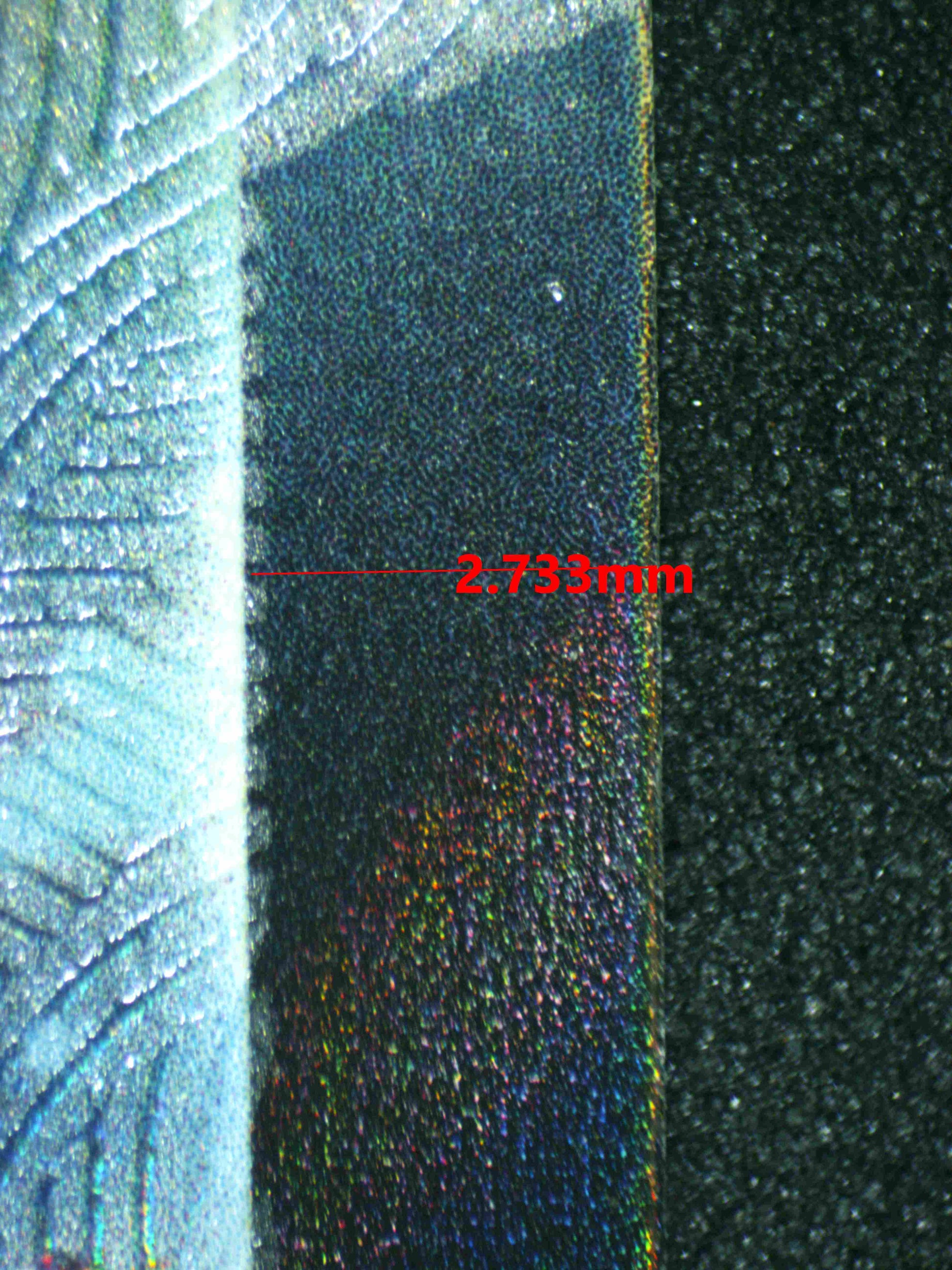 07394 REGIELEKI VMAX Grading Card
