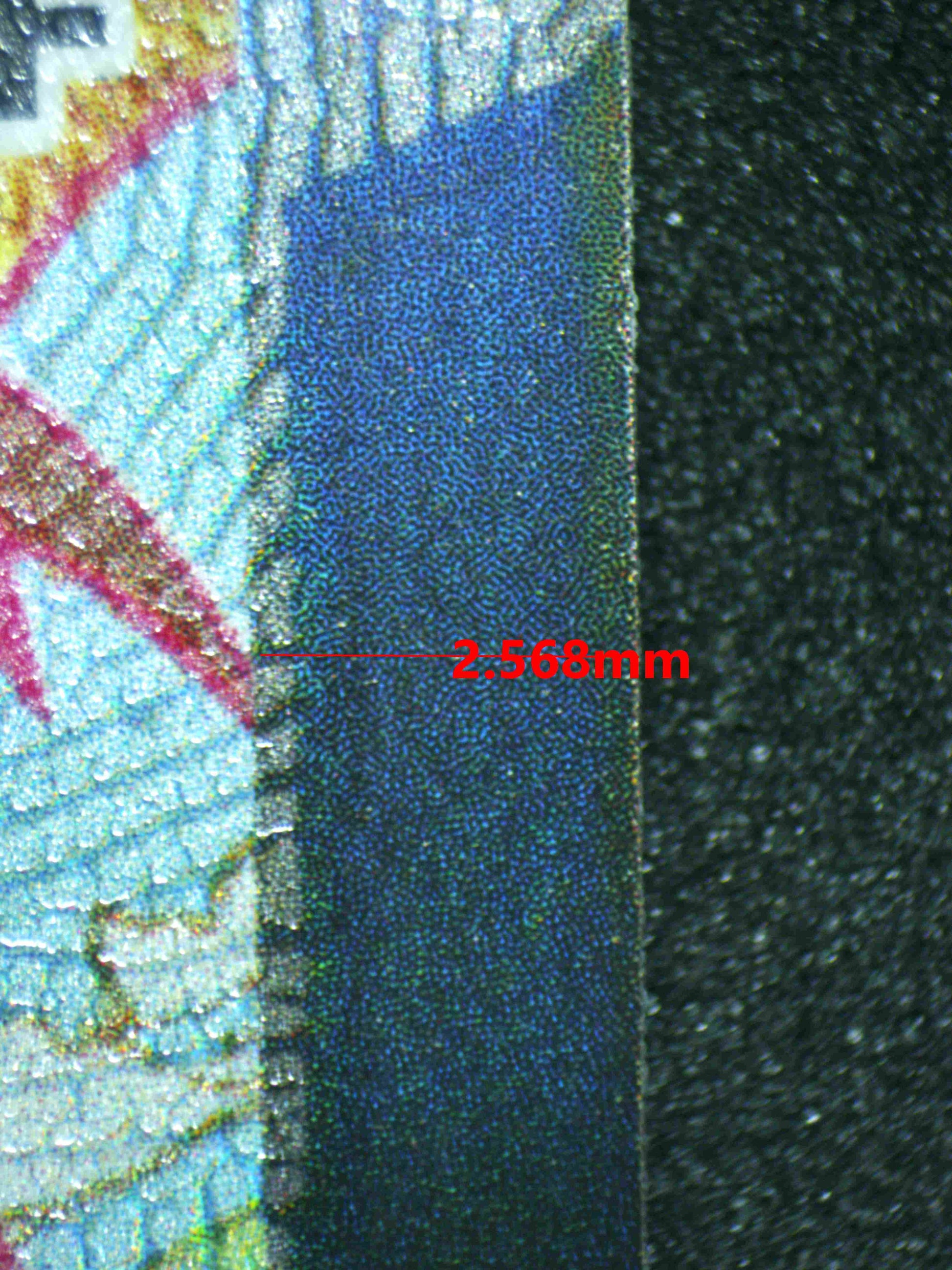 07395 CENTISKORCH VMAX Grading Card