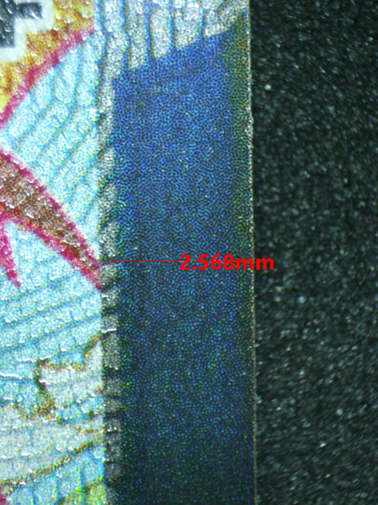 07395 CENTISKORCH VMAX Grading Card