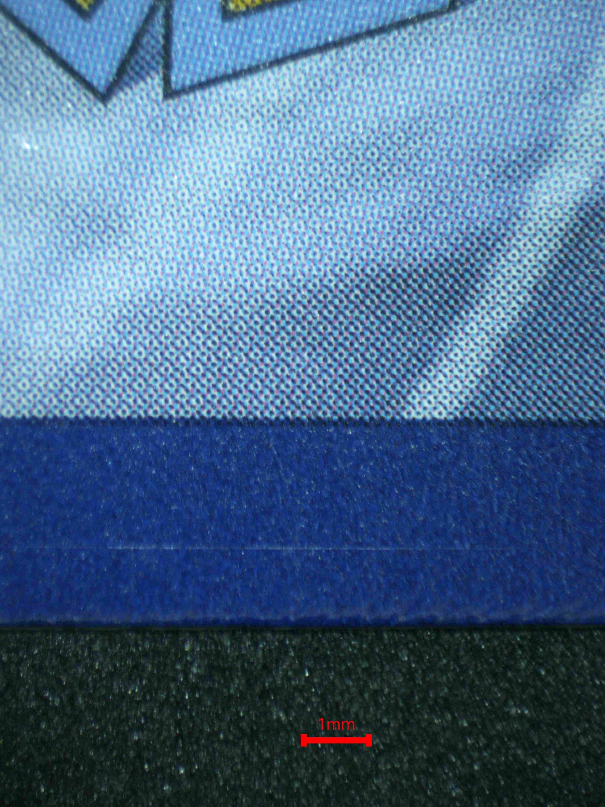 07491 HUSTLE BELT Grading Card