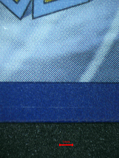 07491 HUSTLE BELT Grading Card