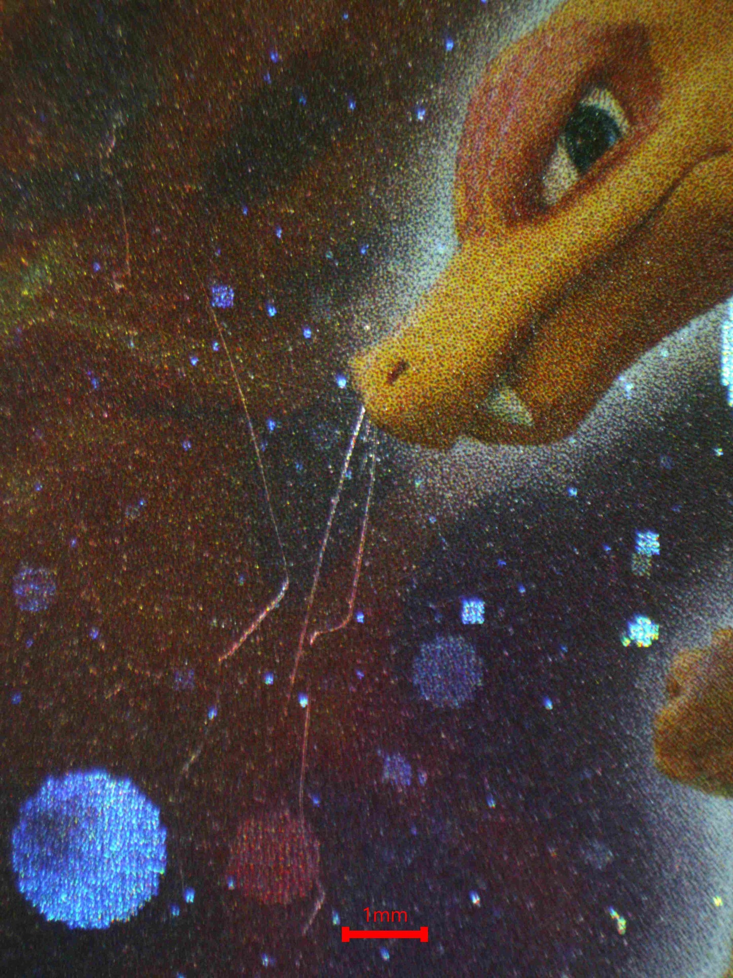 07581 CHARIZARD (SPANISH) Grading Card