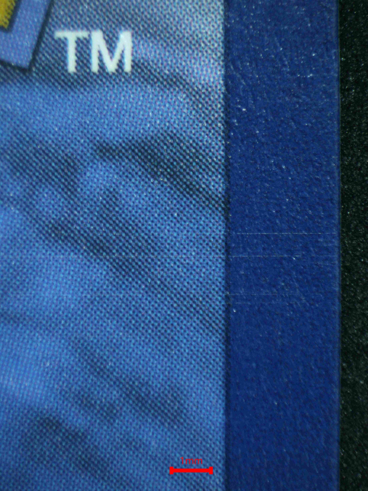 07610 LEDIAN (SPANISH) Grading Card