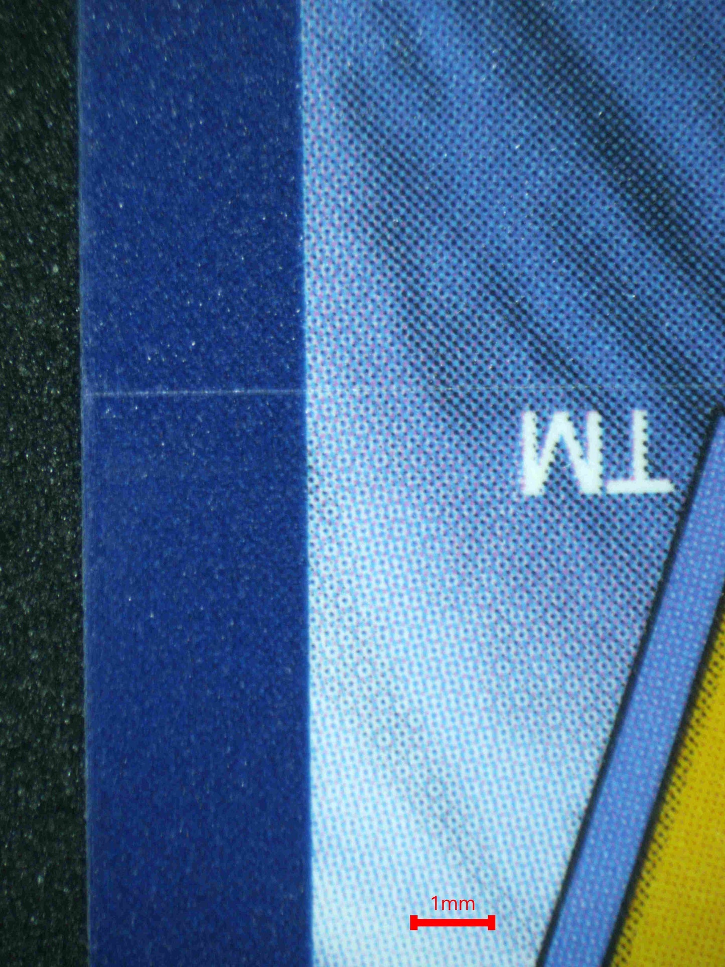07601 PANSEAR (LATAM) Grading Card