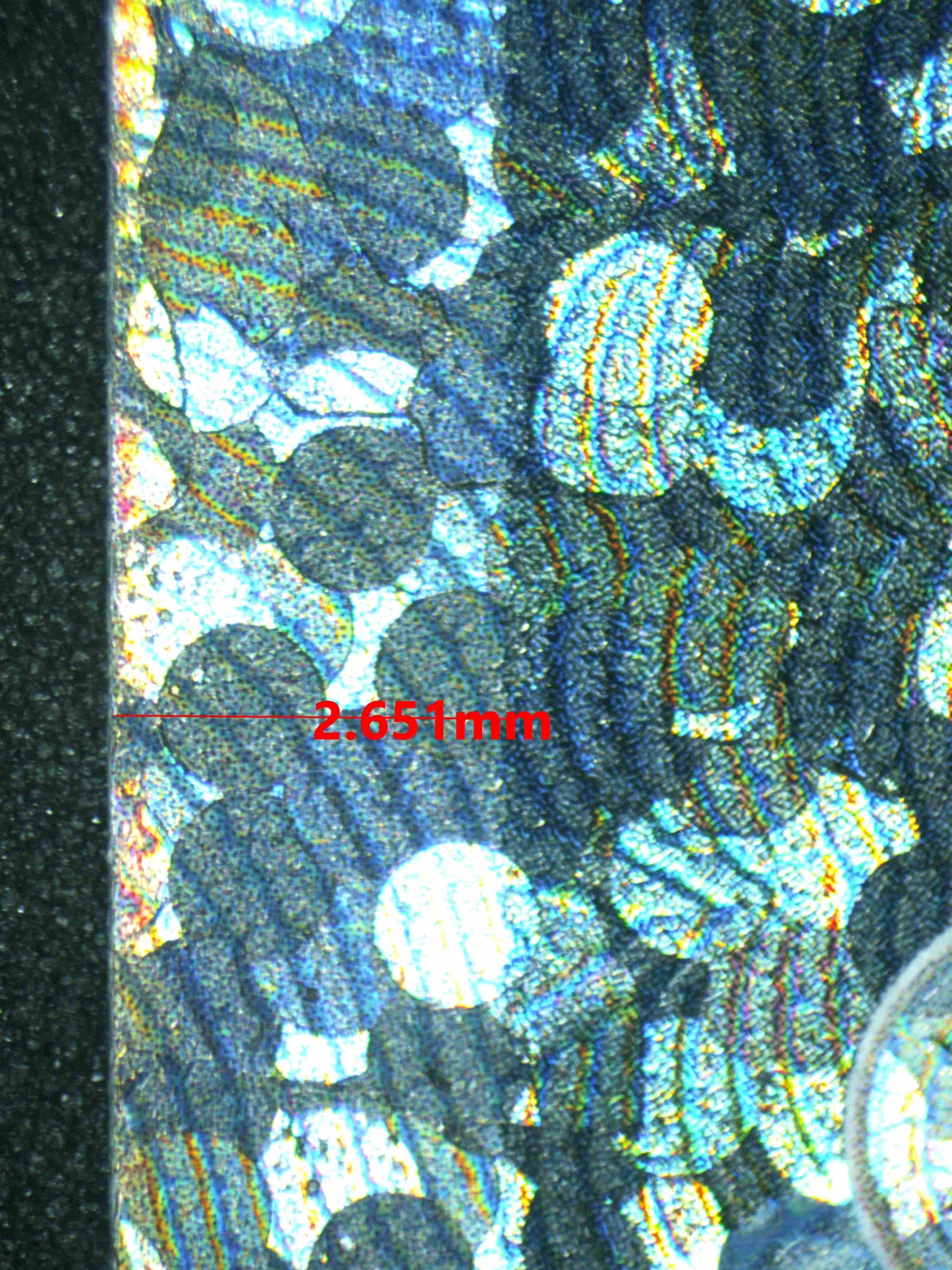 07638 ZEKROM Grading Card