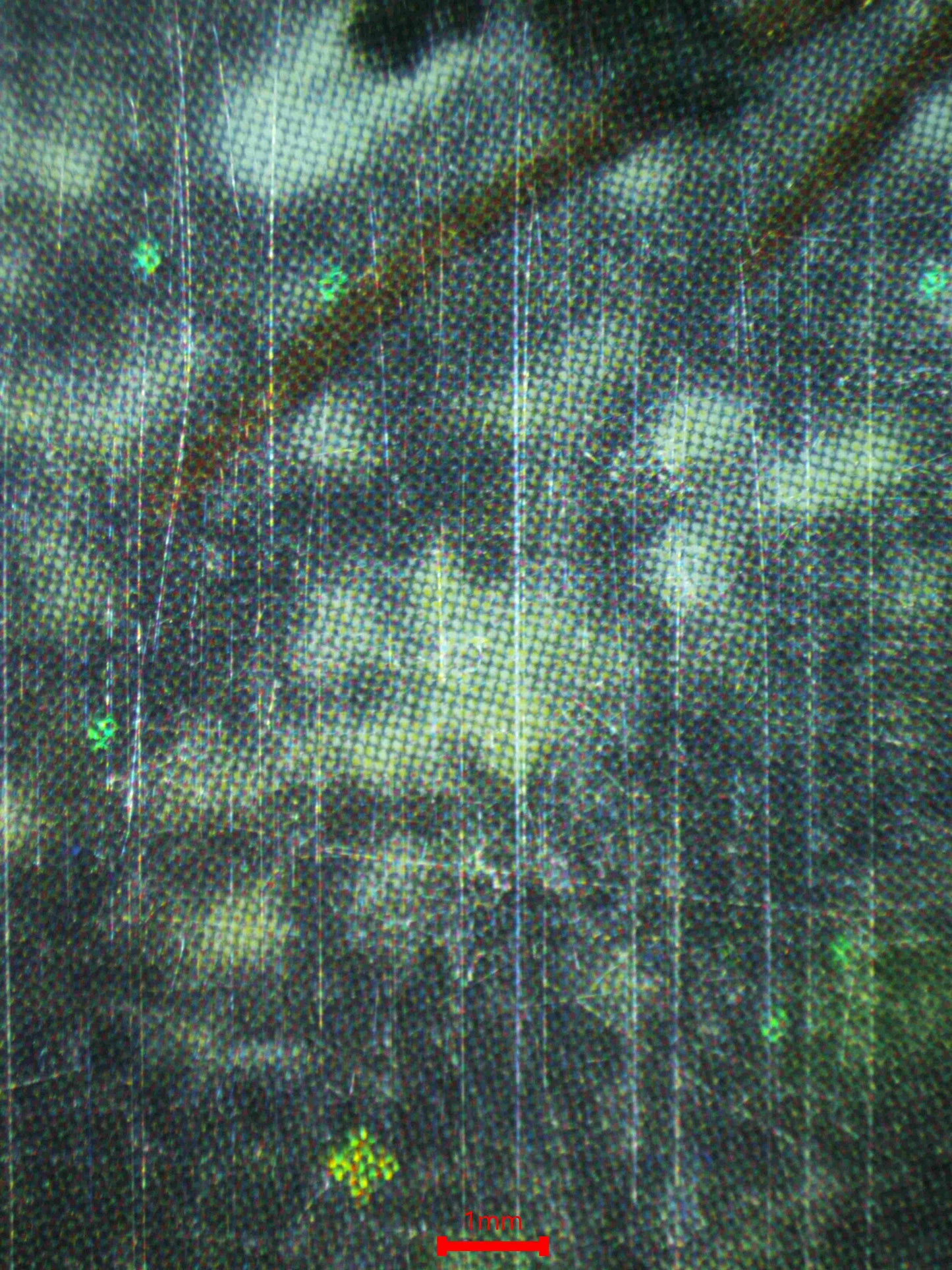 07774 GENGAR Grading Card