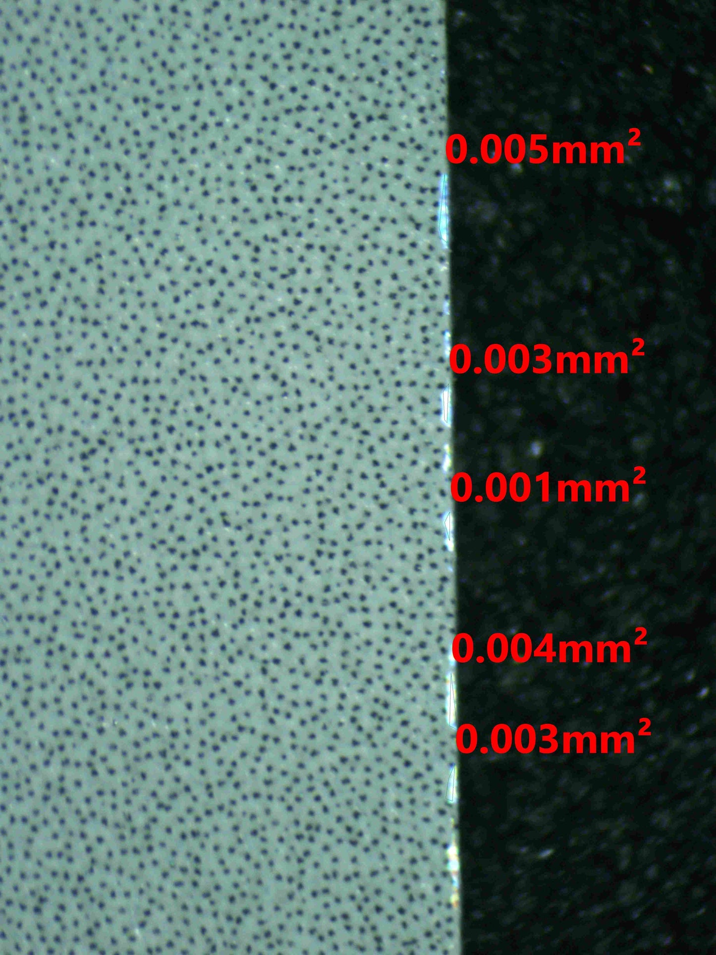 07777 SQUIRTLE (SPANISH) Grading Card