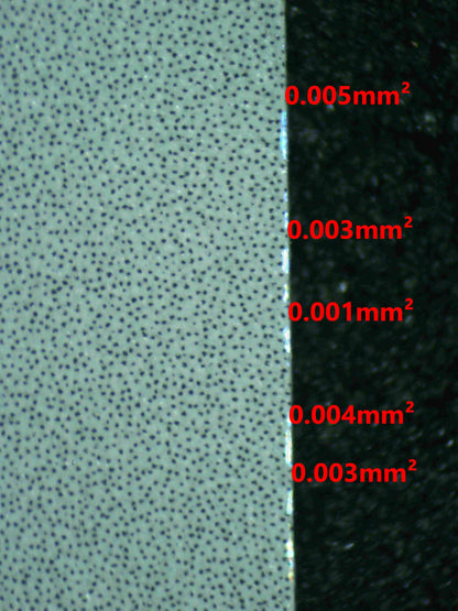 07777 SQUIRTLE (SPANISH) Grading Card