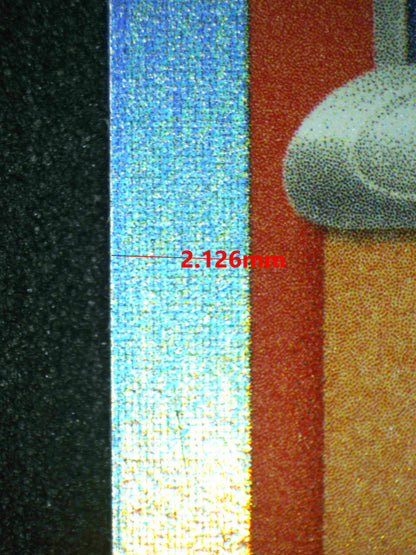 07778 BLAZIKEN Grading Card