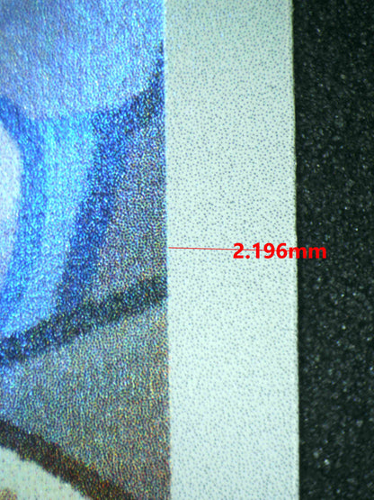 07780 ROTOM Grading Card