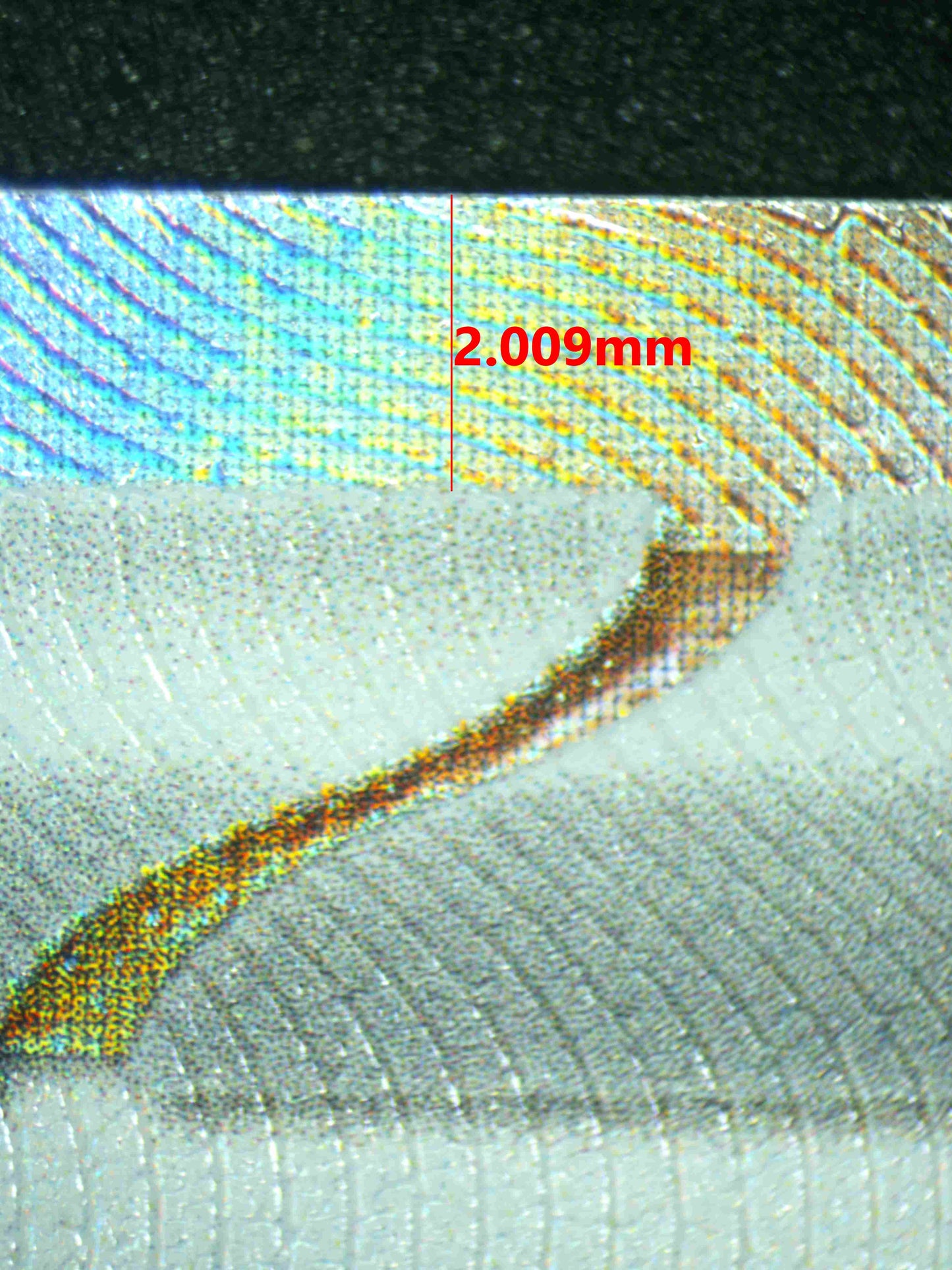 07781 JUDGE Grading Card