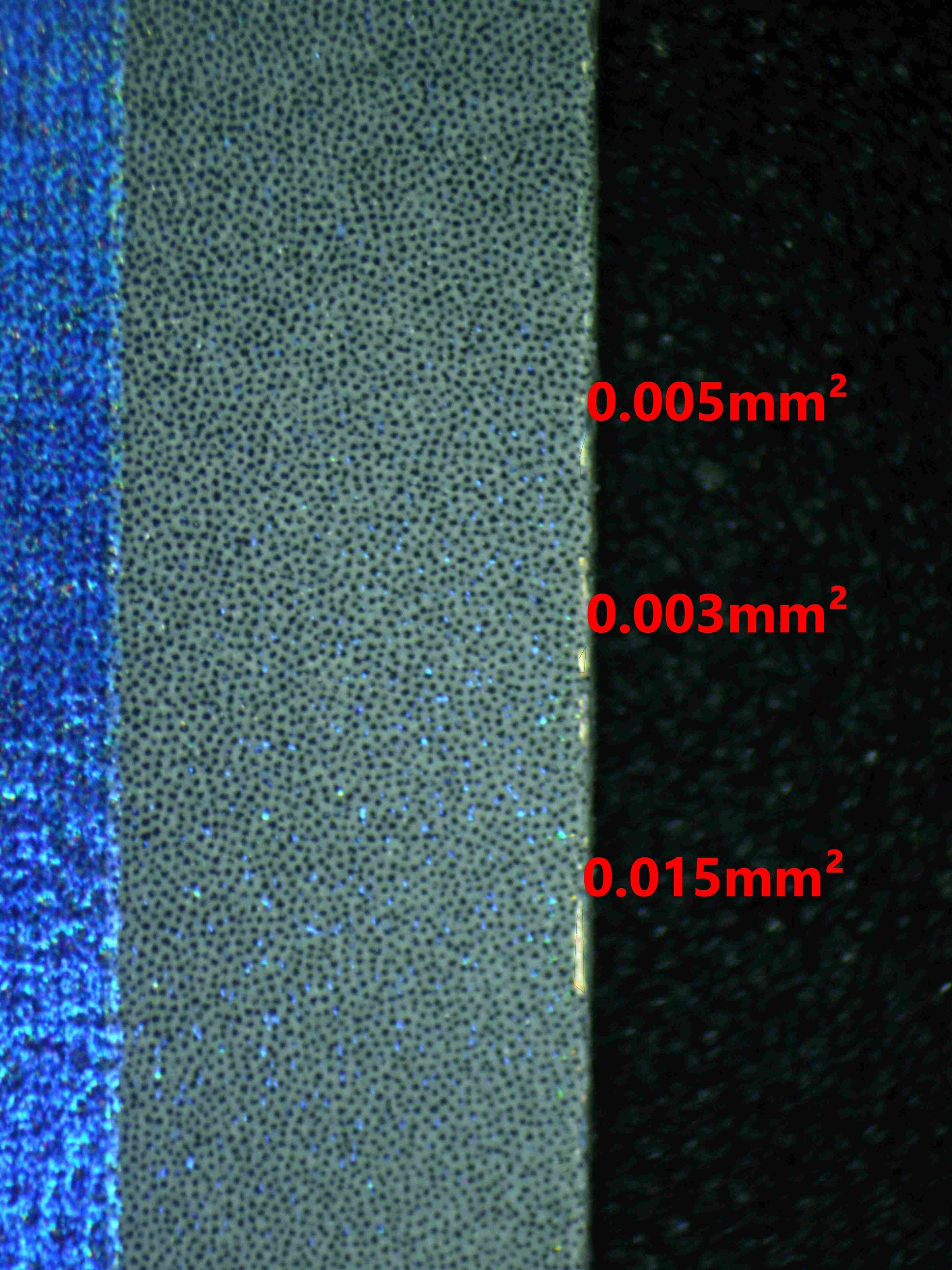 07790 WAILORD Grading Card