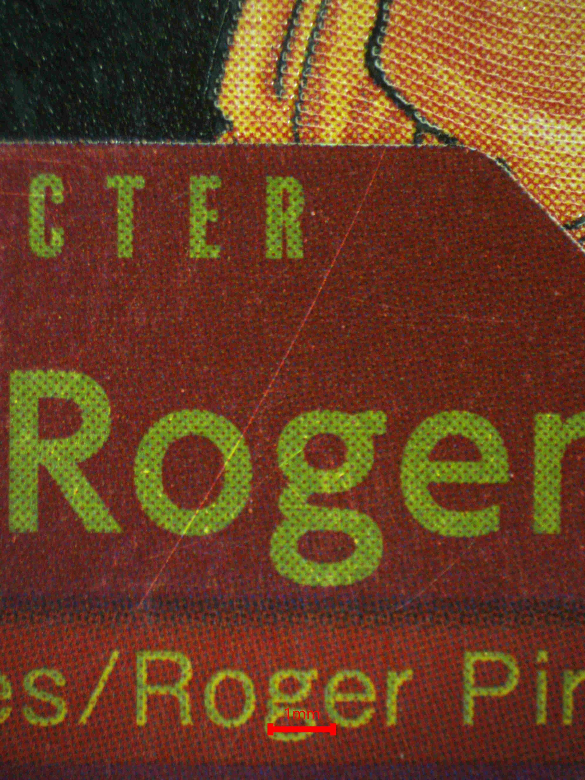 07806 GOL.D.ROGER Grading Card