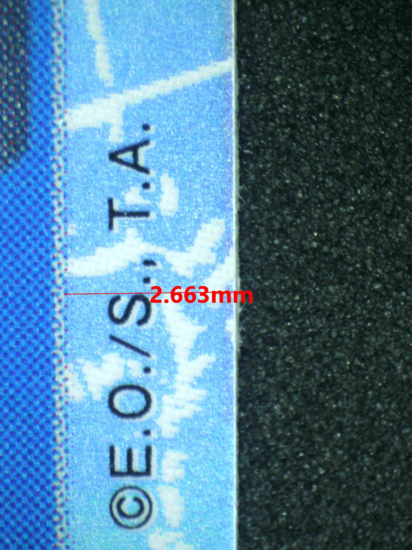 07851 CROCODILE & MIHAWK Grading Card