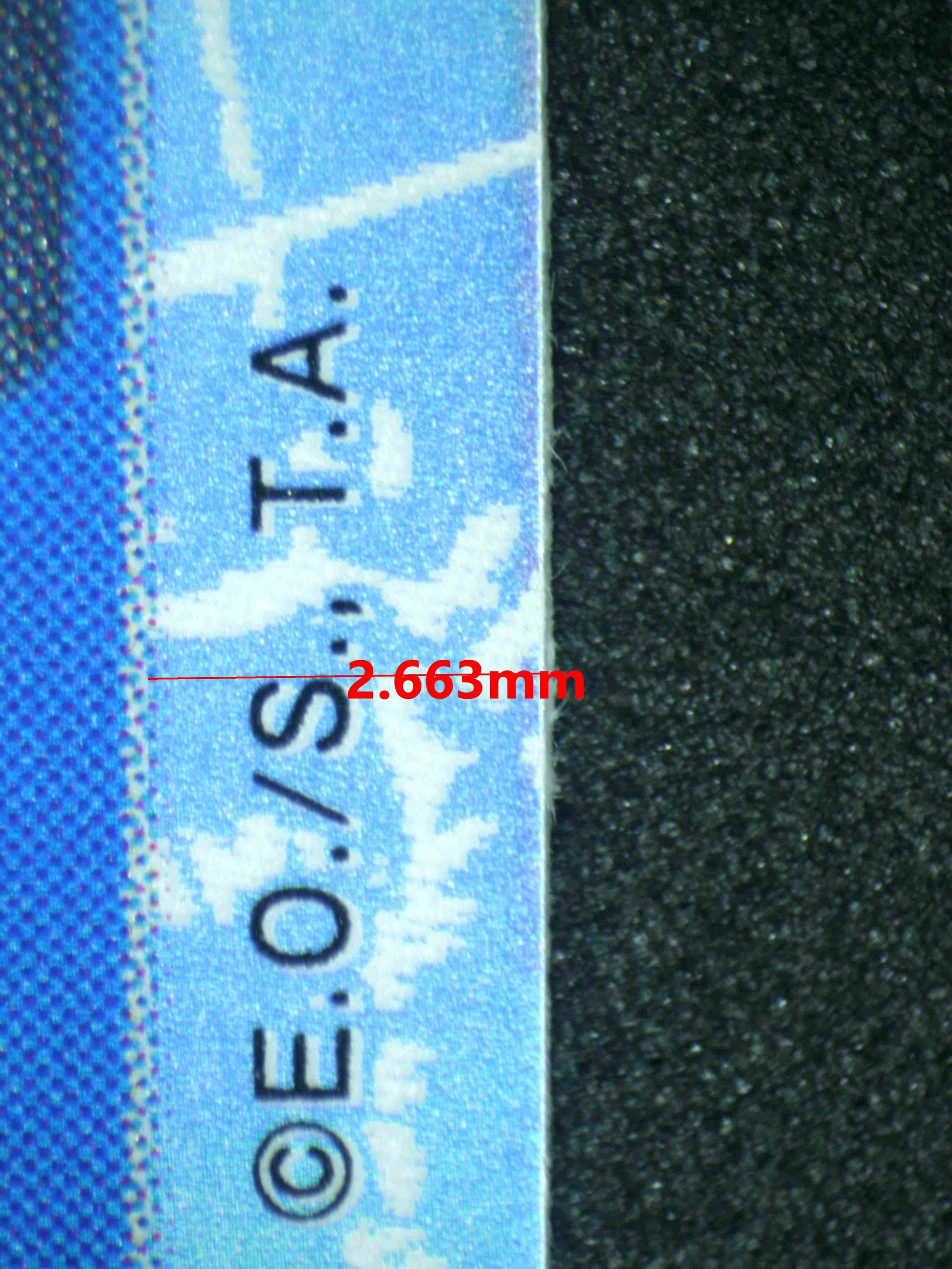 07851 CROCODILE & MIHAWK Grading Card