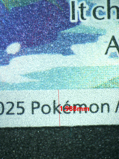 07960 ZORUA