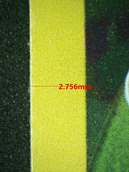 07975 PIKACHU Grading Card