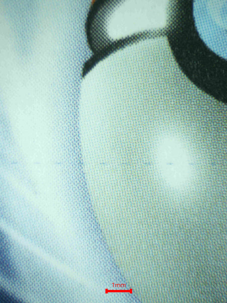 Extra 2