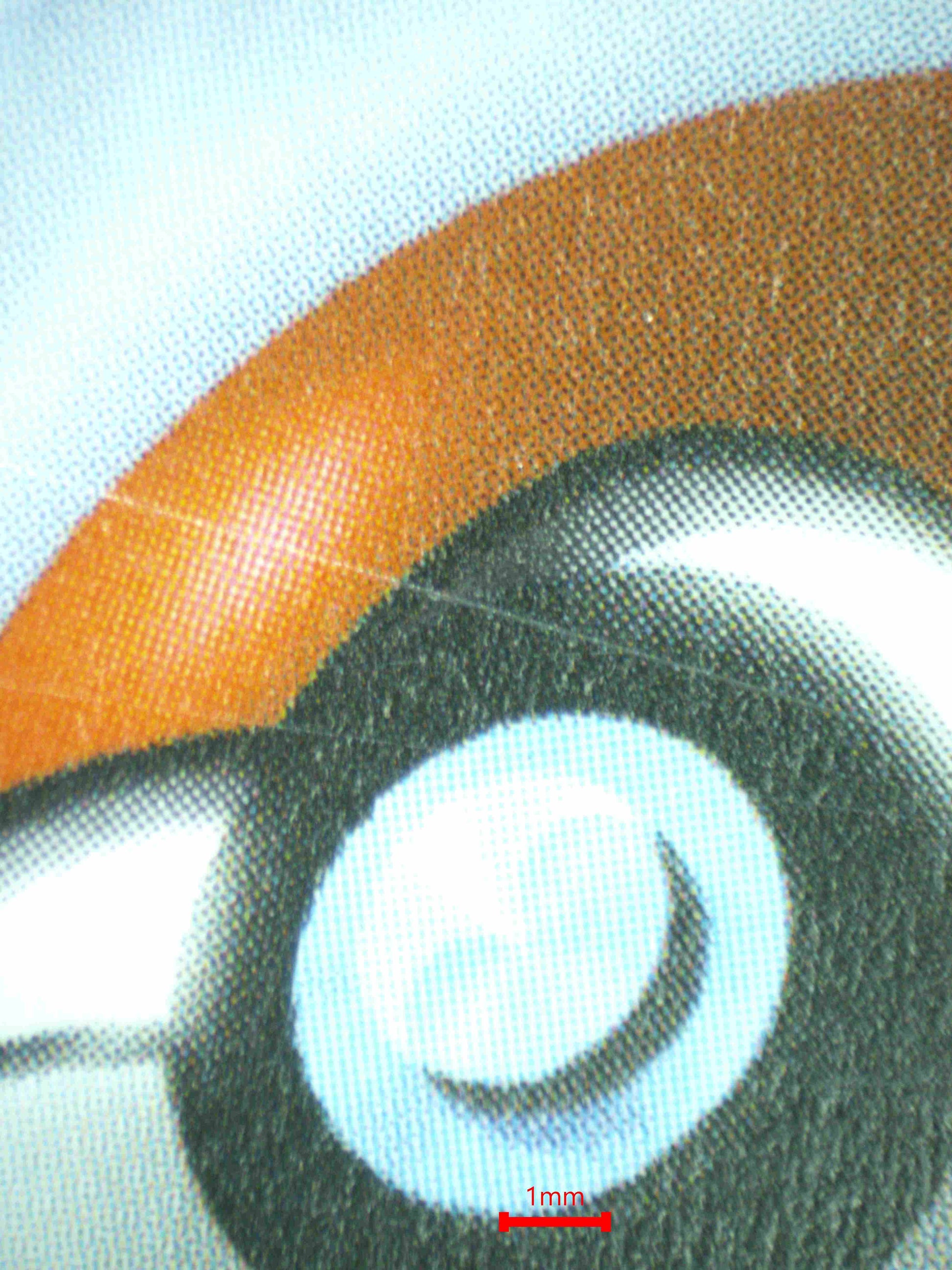 07984 PIKACHU EX Grading Card