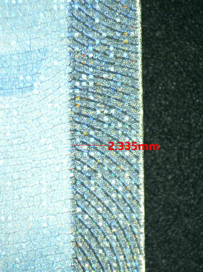 07987 ALTARIA EX Grading Card