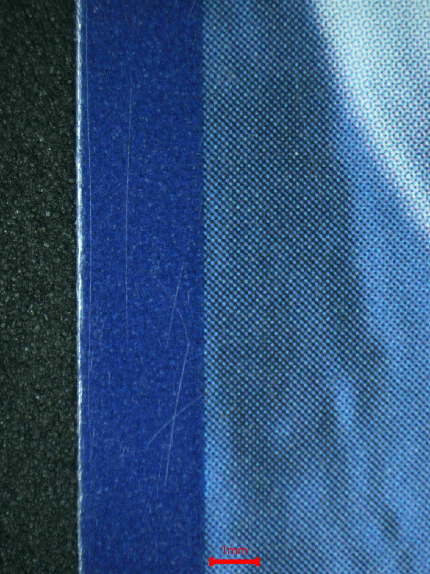 07989 IRON LEAVES EX Grading Card