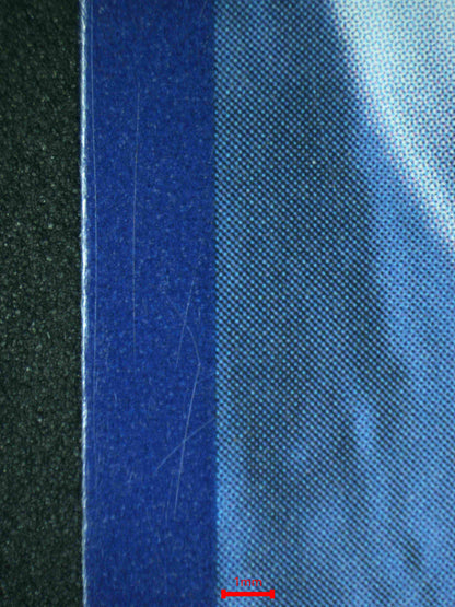 07989 IRON LEAVES EX Grading Card