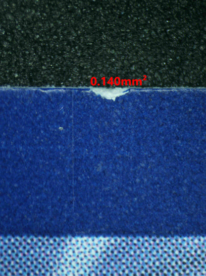 07989 IRON LEAVES EX Grading Card