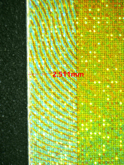 07989 IRON LEAVES EX Grading Card